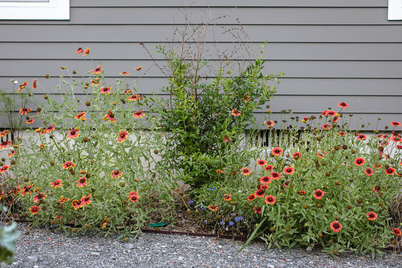 LOW-RES-MicroLife-Cottages-Atlanta-Shades-of-Green-Erik-Meadows-Photography-6