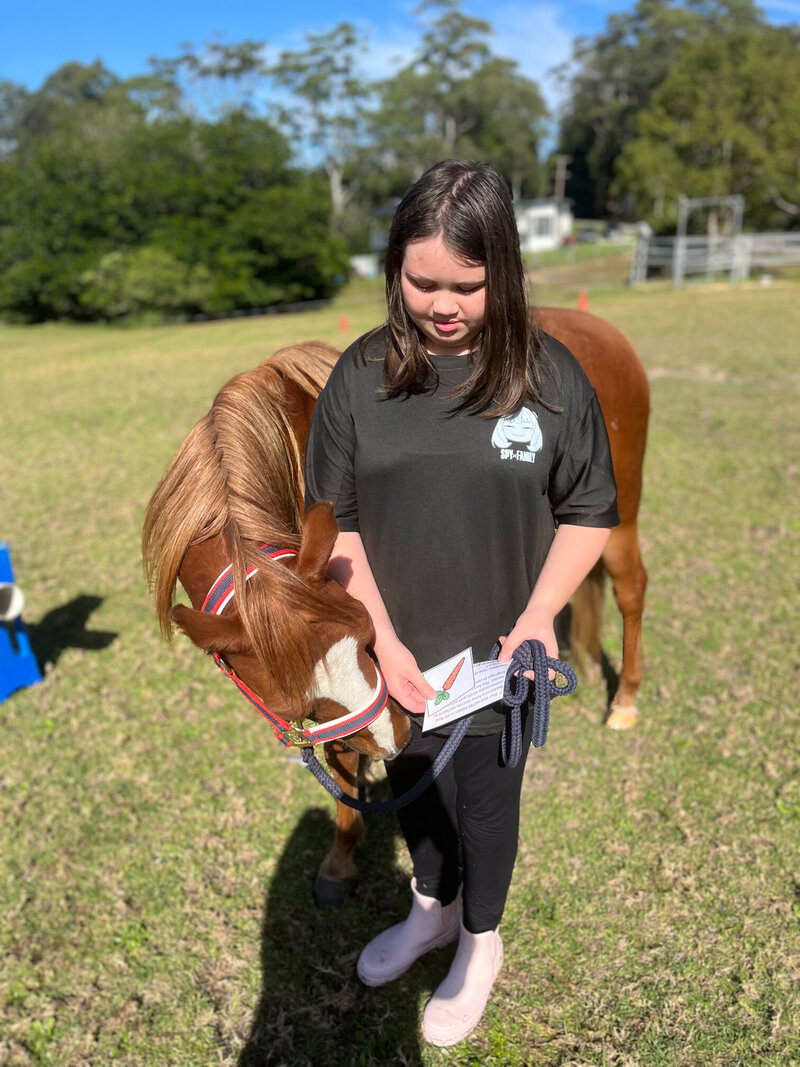 A young boy in a blue top, black pants and a cargo print hat brushing a dark brown horse