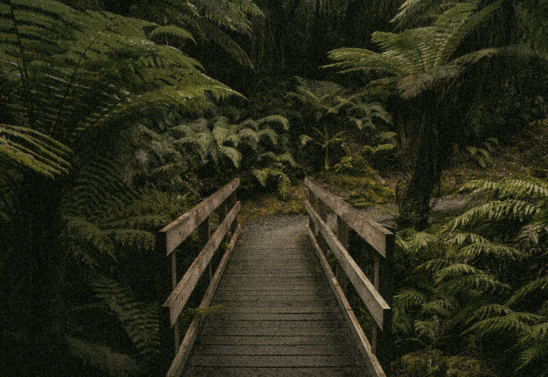 Fraser Valley Counselling