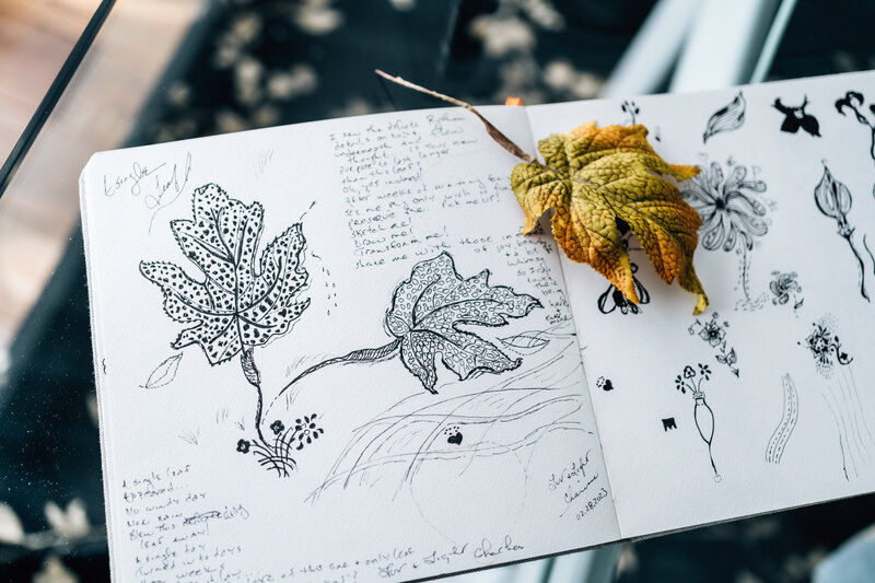 Sketch book opened to pages of illustrated leaves