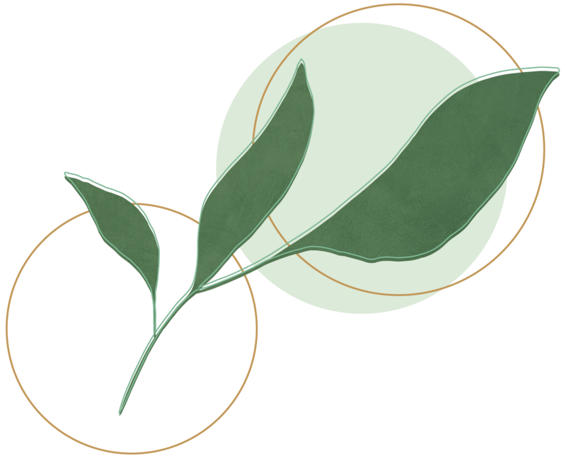 Interlocking rings and leaf element