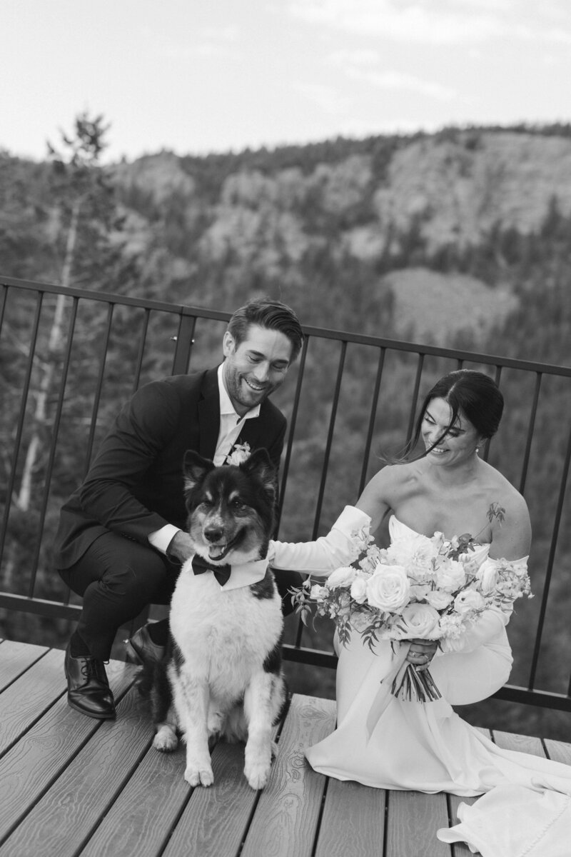 Bride and groom pose with their dog at their luxury mountain wedding at North Star Gatherings in Colorado.