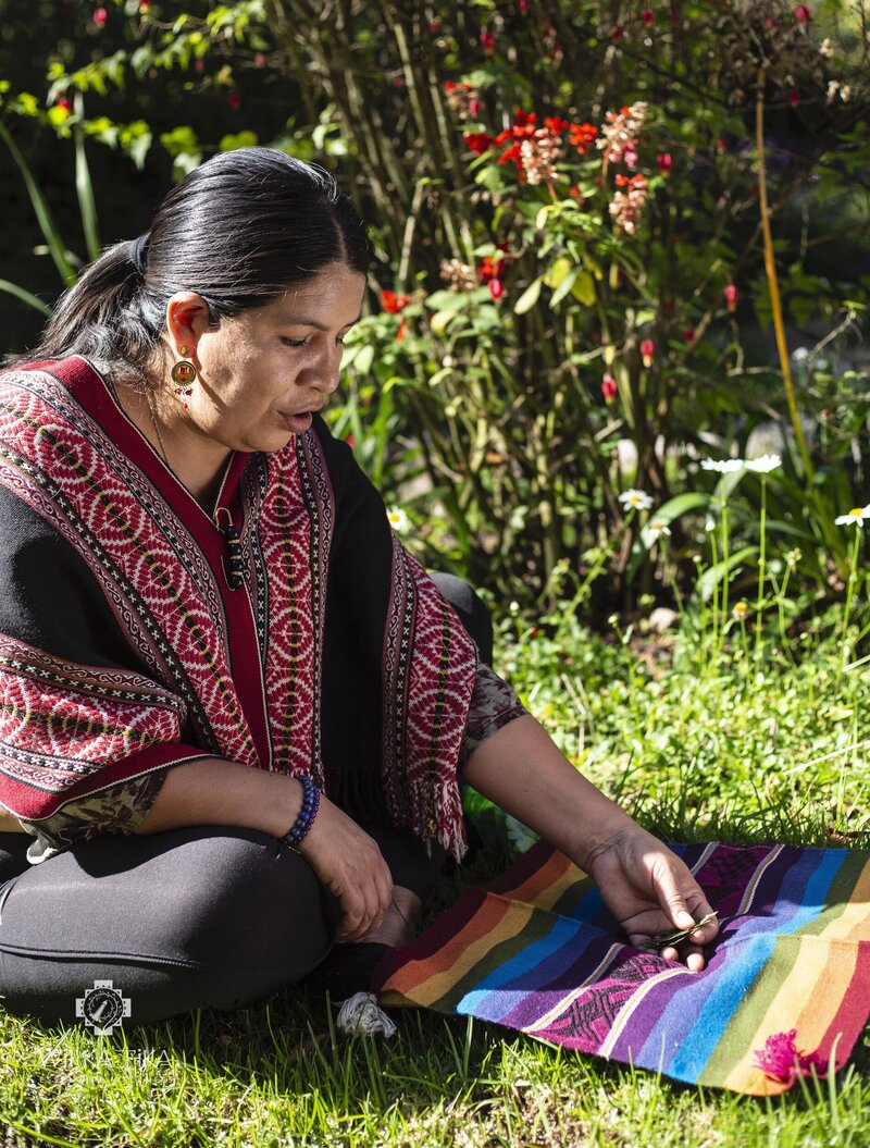 Coca Leaf Reading with Layka
