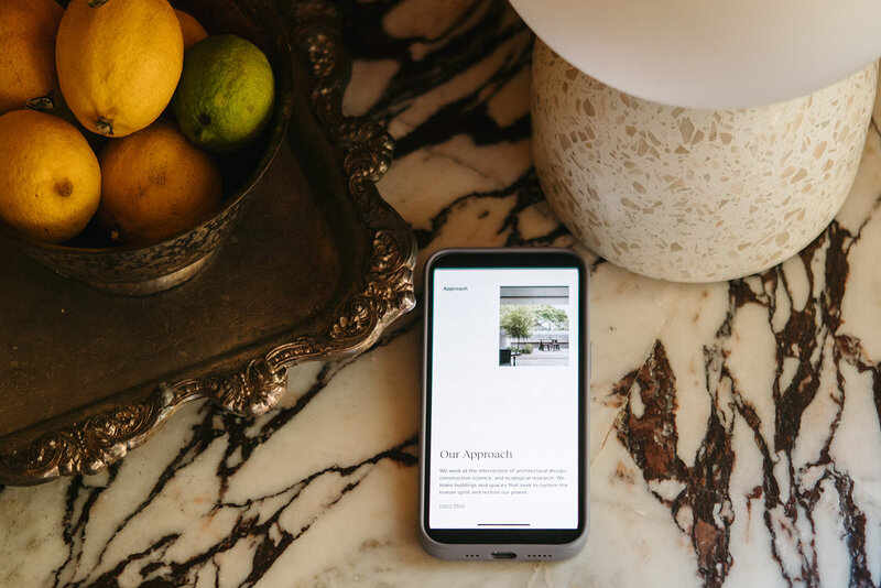 Image of phone and website showcasing