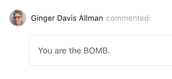 ginger-davis-allman-review-4