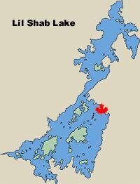 lilshab