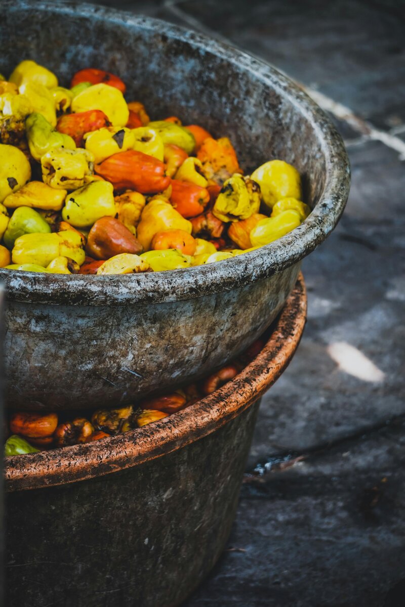 Renzo Leopoldo Showit Template By Salt Thread_74