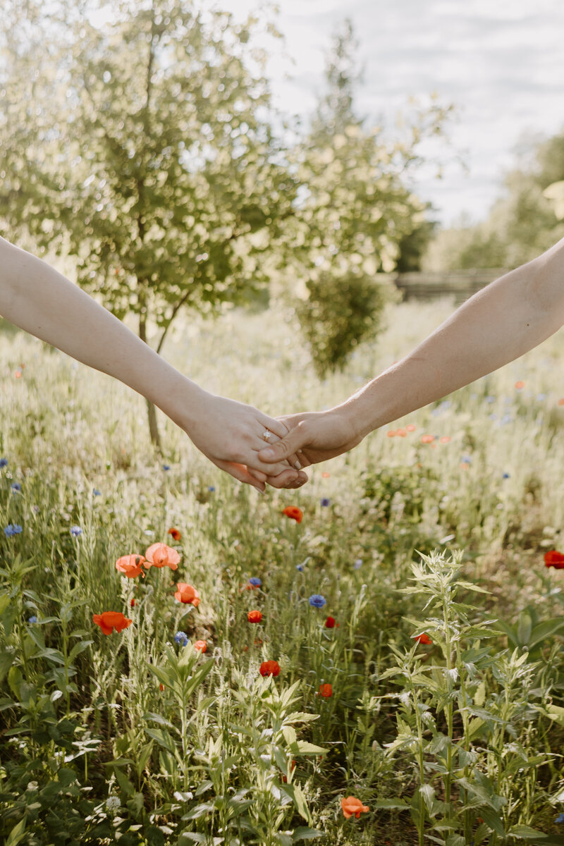 mec-evansydeny-engagement-113