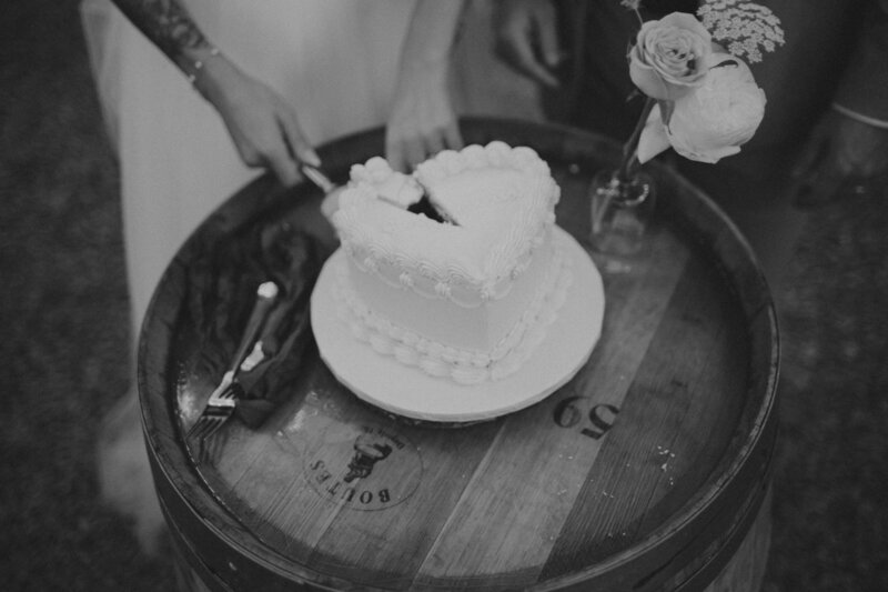 Cake Cutting Wedding Photography