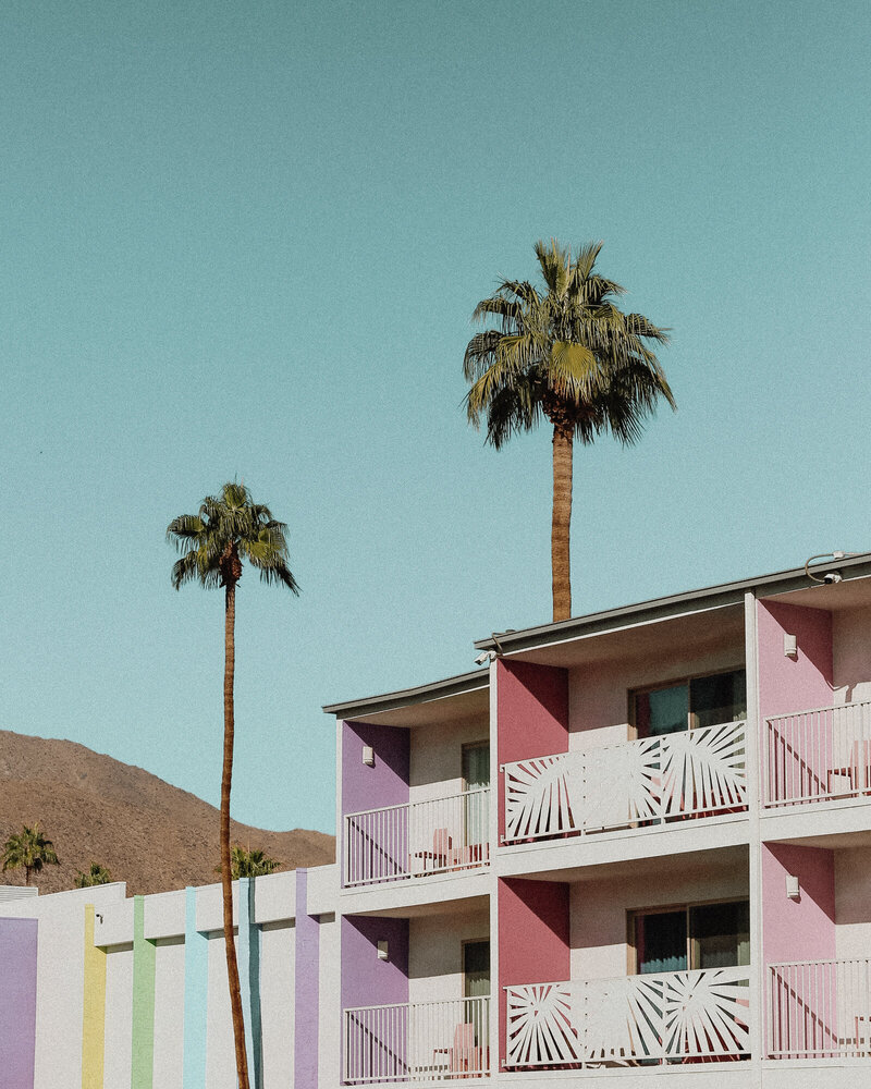 Dear Palm Springs-60