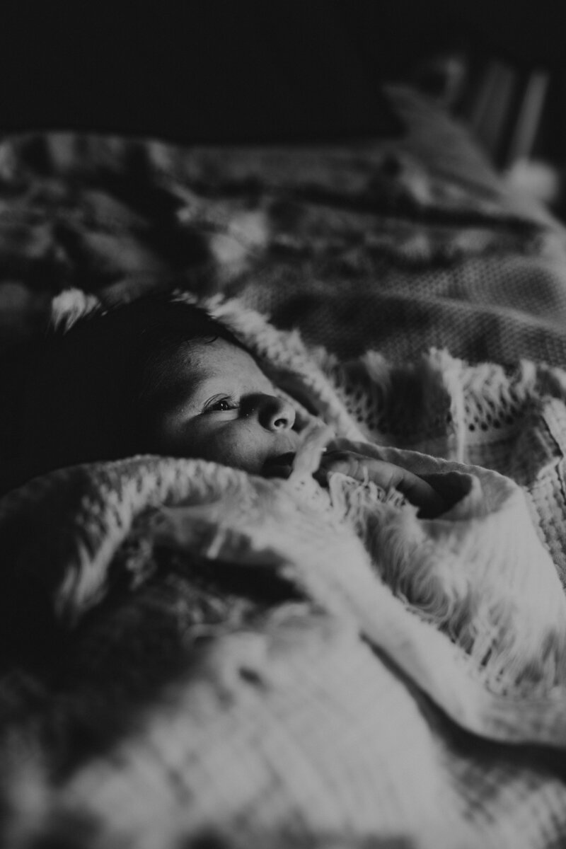 rex newborn16