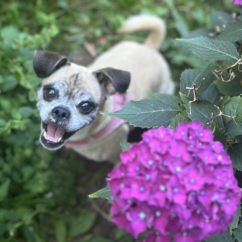 Coco (6)