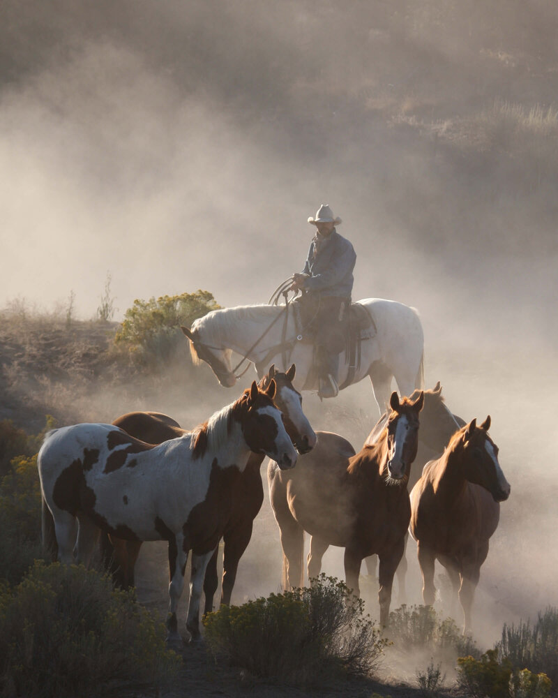 wenatchee-horse-photographer-yellowstone-horse-photos (23)