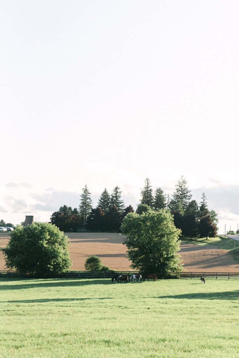 001_Private-Estate-Tent-Wedding-102