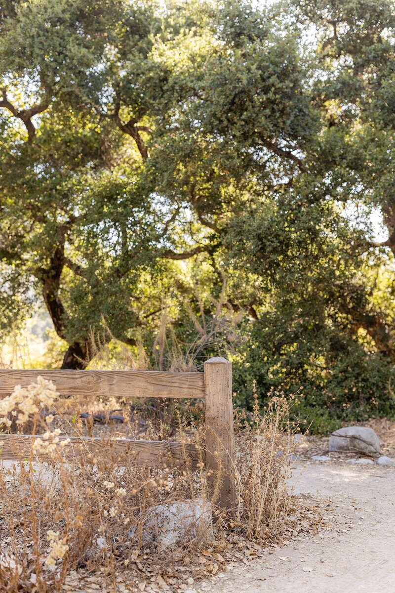 pasadena-outdoor-mini-session_0003