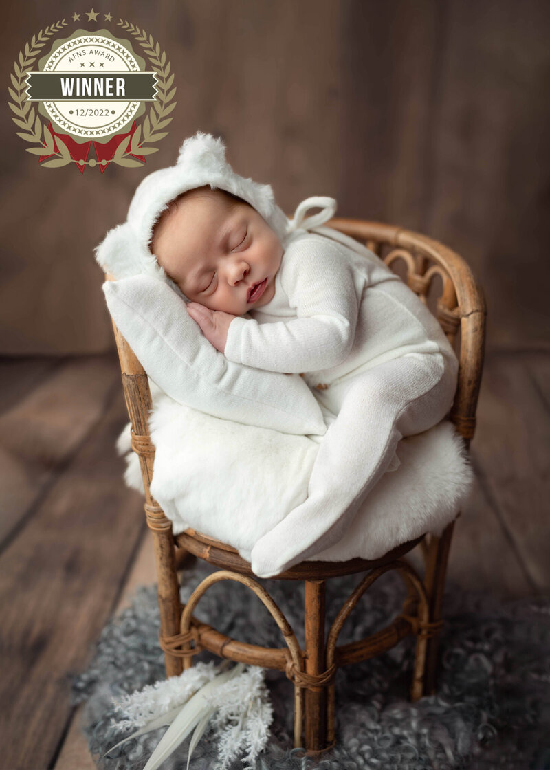 Recognized for excellence, this award-winning newborn portrait captures the purity and warmth of a winter-inspired baby session.