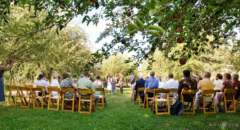 Getting Married in the Apple Orchard at Rancho Manzana in Northern New Mexico