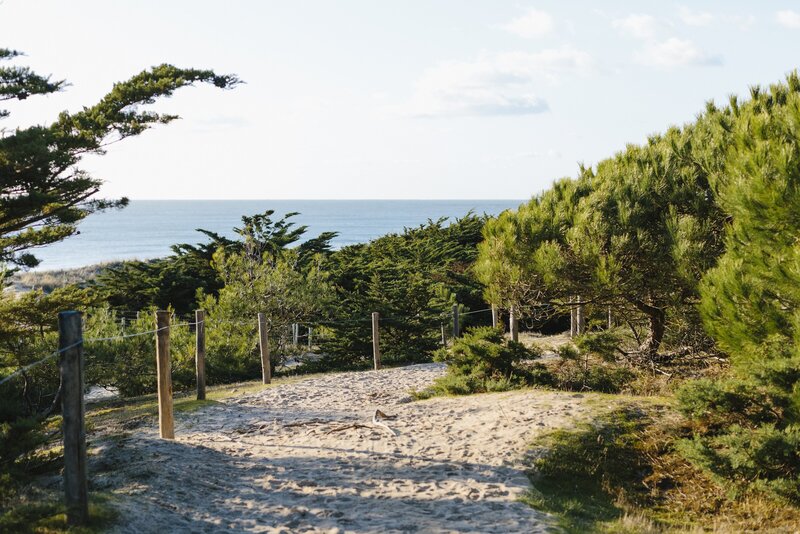 Le bois des Eloux sur l'ile de Noirmoutier
