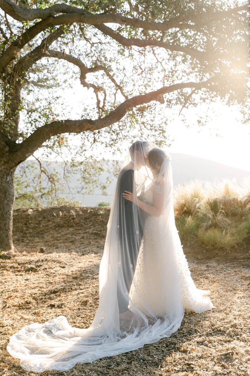 Hummingbird Nest Ranch wedding couple, Simi Valley, wedding ceremony