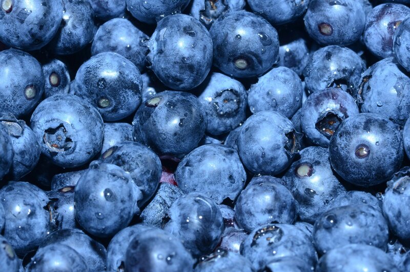Close up of blueberries