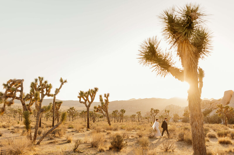 joshua tree desert elopement