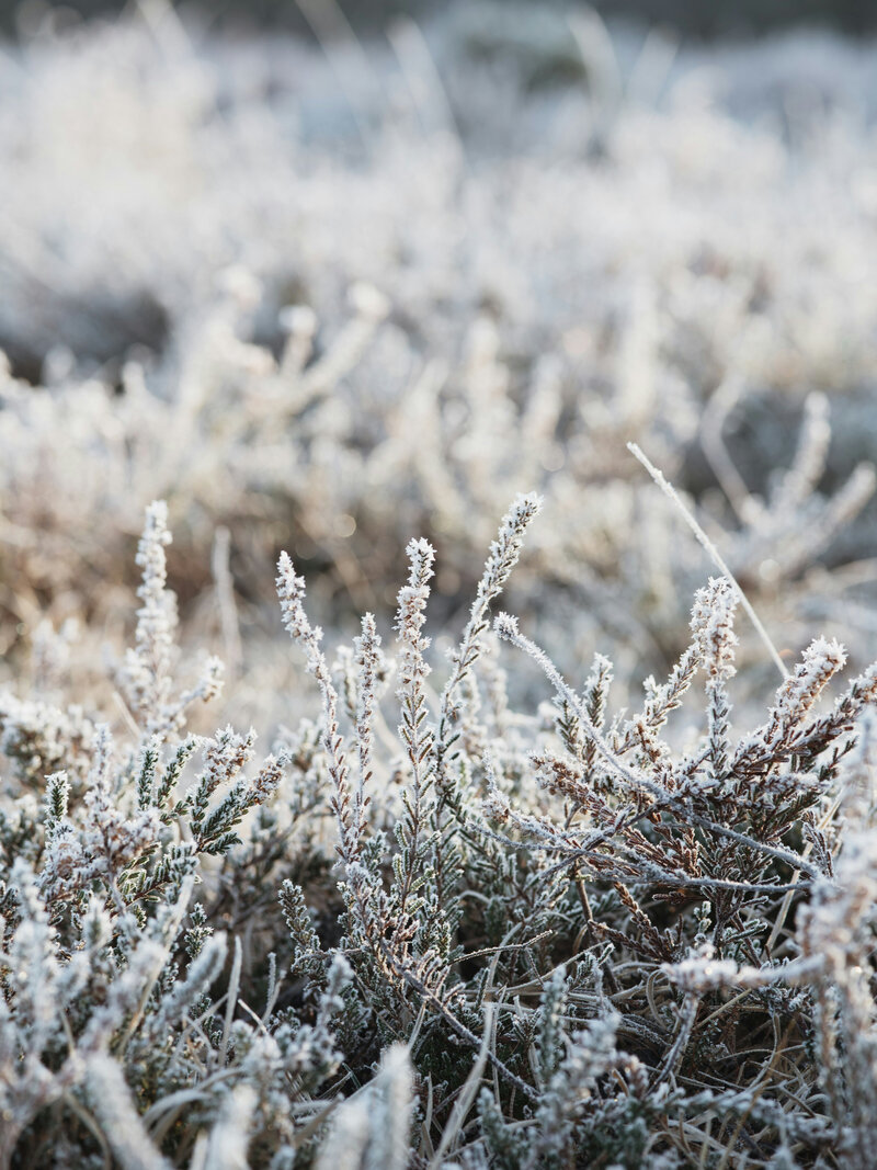 sixtyeightnorth imagery-62
