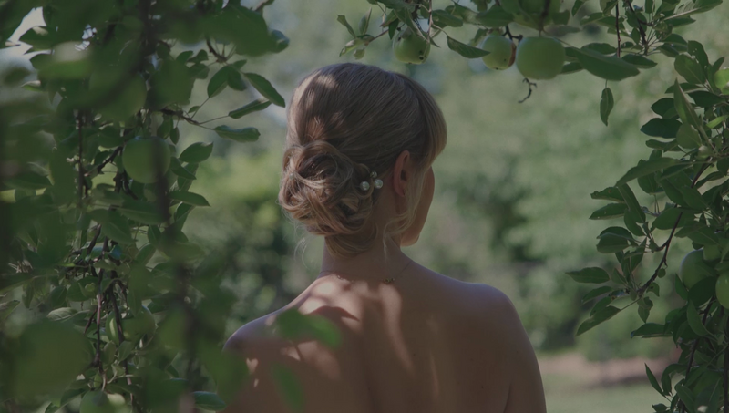 bridal portrait of a bride from behind with an elegant blonde hairstyle posed with folaige