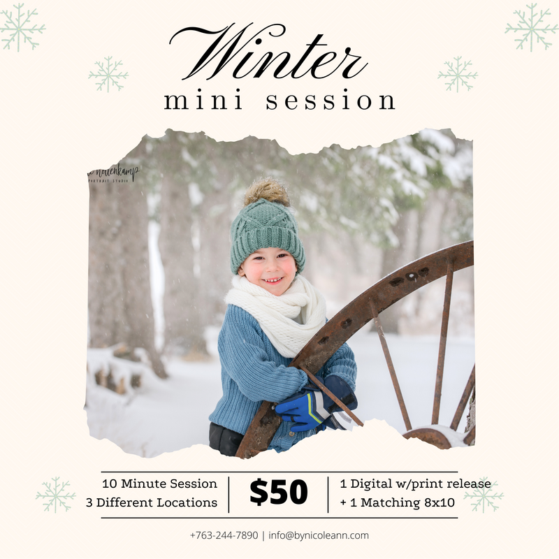 Minnesota Mini Session Photography | Central MN minis |  Minnesota Minis