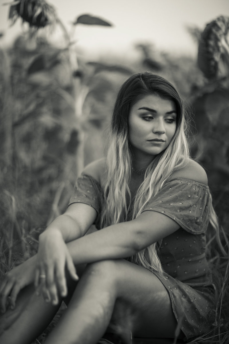 ASHLYN SUNFLOWER 3