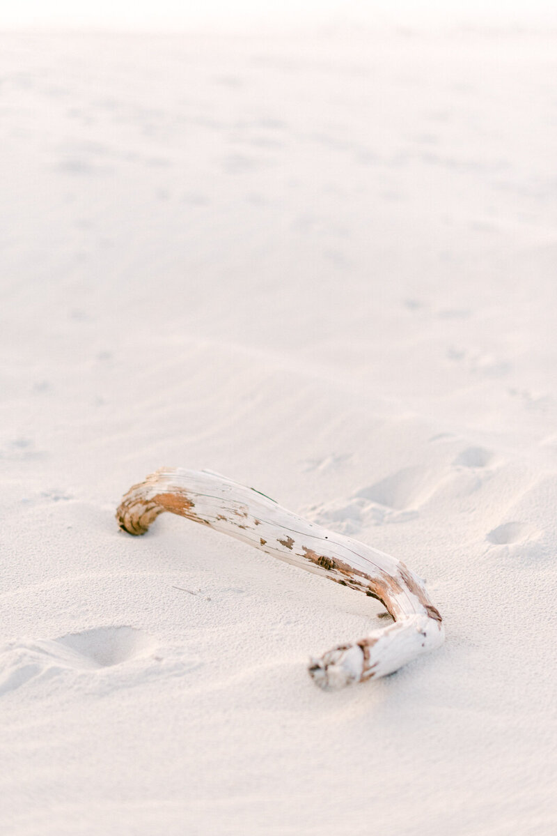 beachwebsite-08