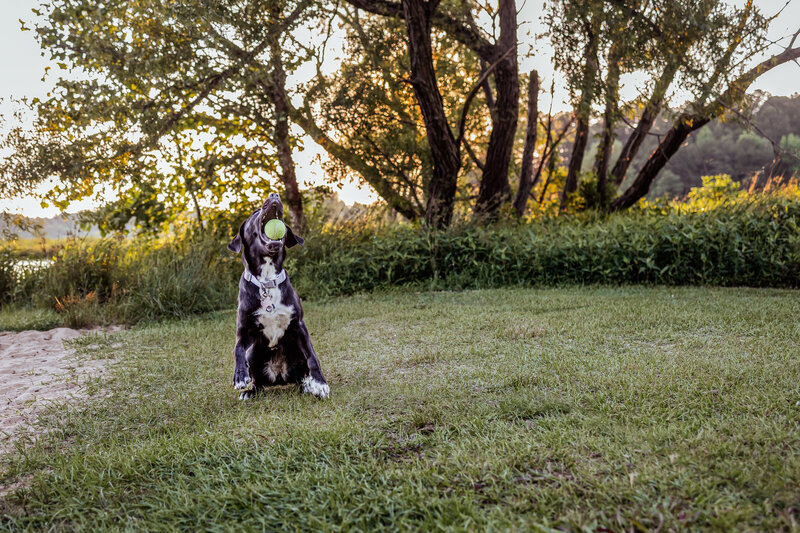 1C2A9463-Edit