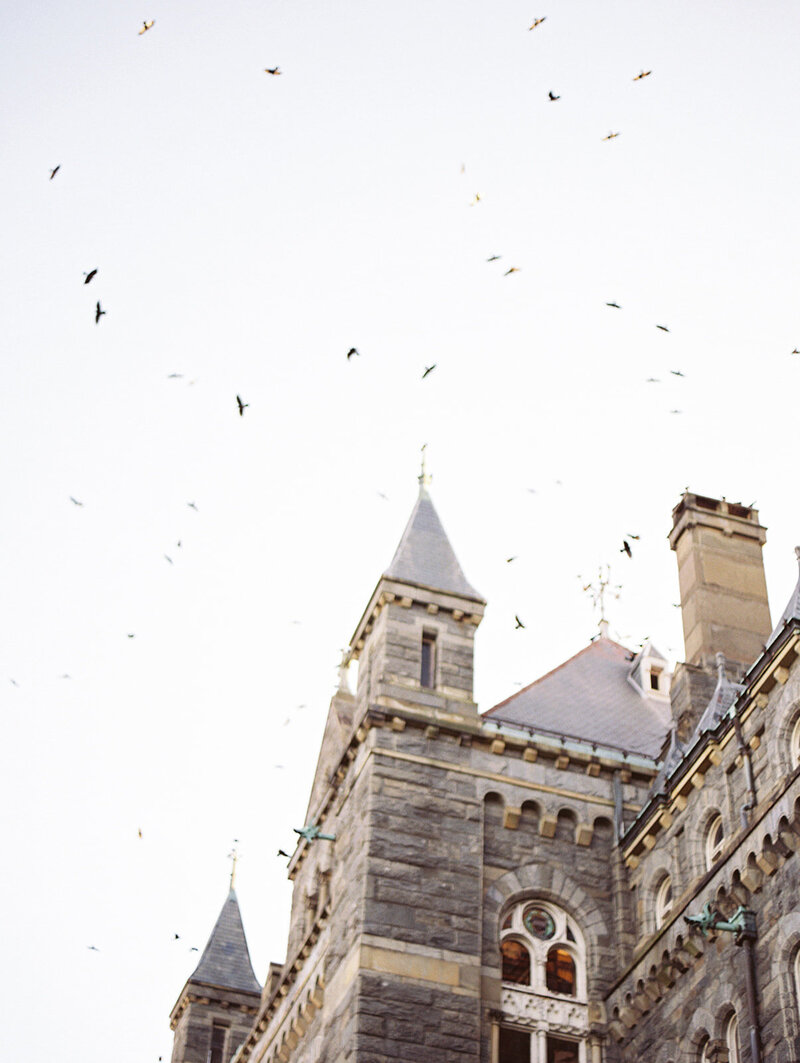 Georgetown Wedding in DC photo of architecture wwith birds flying in the sky