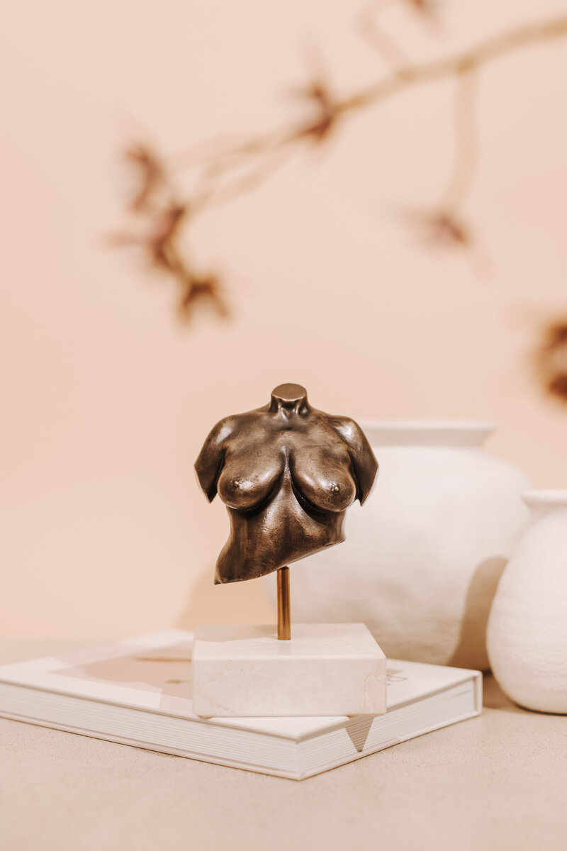 Bronzen beeldje zwangere lichaam 3D