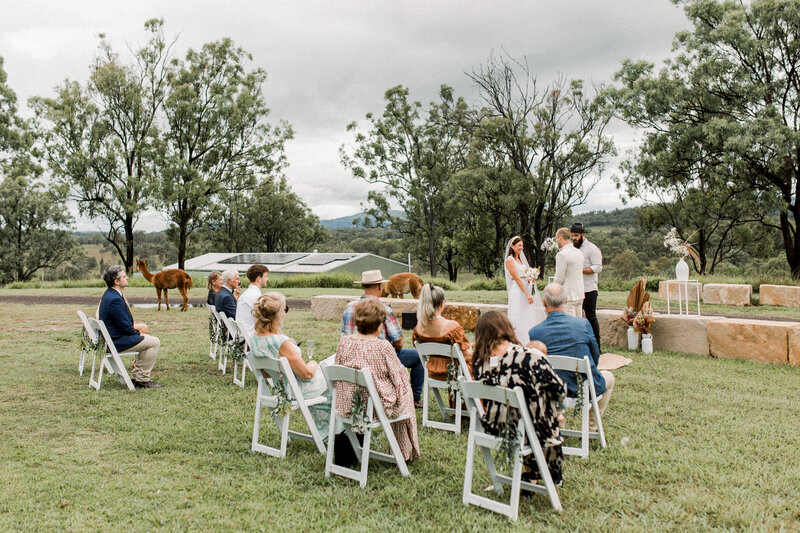 Skyline_Farm_Wedding-16