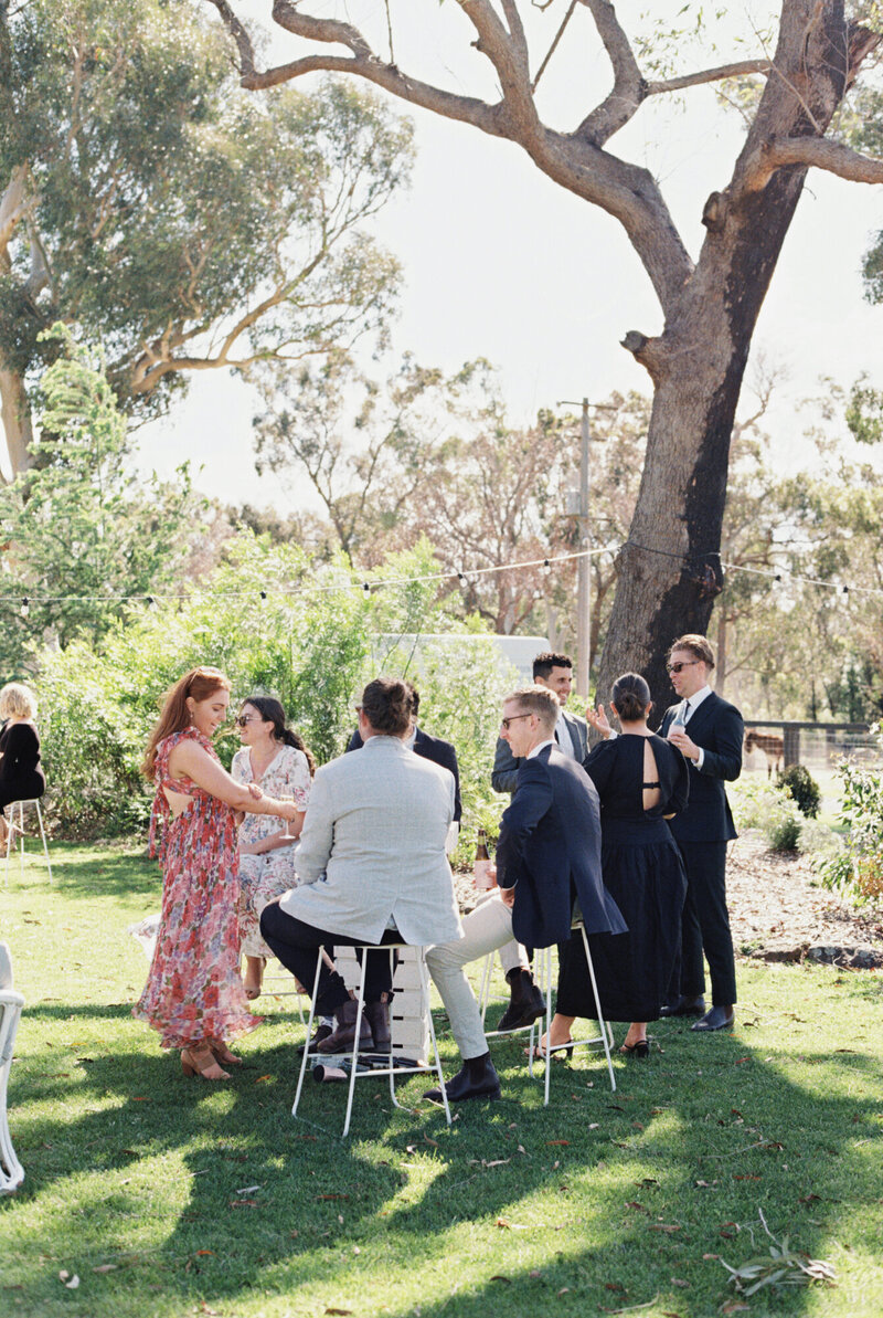 Southern Highlands White Luxury Country Olive Grove Wedding by Fine Art Film Australia Destination Wedding Photographer Sheri McMahon-70