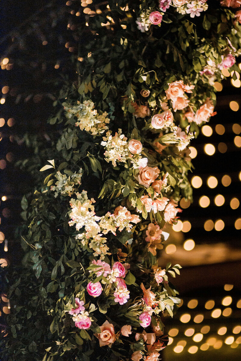 junior-reis-qfX5G5prBE4-unsplash