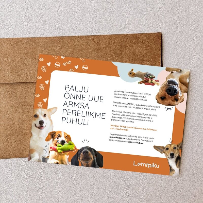 Fun flyer design for a pet brand