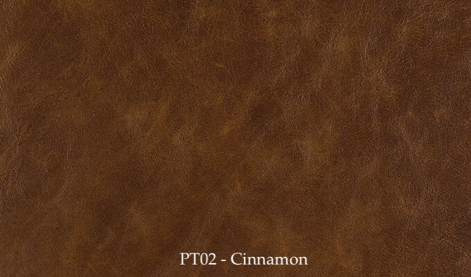 PT02 - Cinnamon