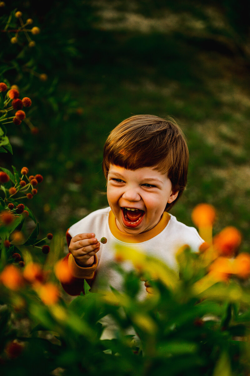 Little boy laughing in a field of flowers — playful and candid Dallas–Fort Worth family photography by Poppy + Blue Photography
