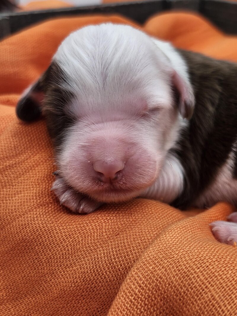 2064ea86-1e22-46c4-b9b8-5dd8c9d81a99