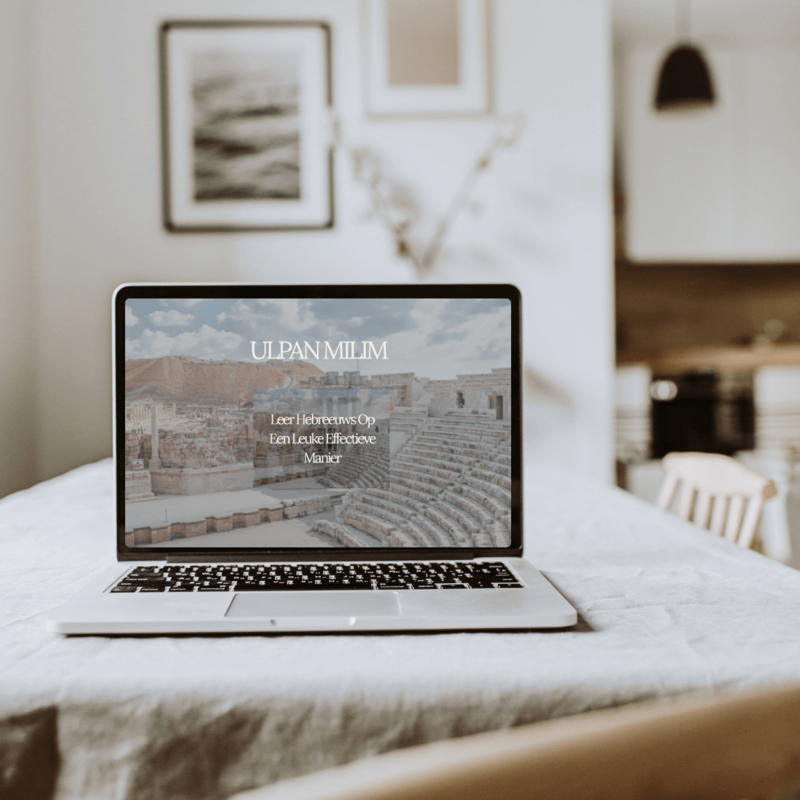 webdesign en branding voor vrouwelijke ondernemers. The Enola Effect.Showit website