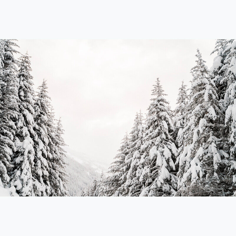 a snowy winter scene from Washington state near Crystal Mountain