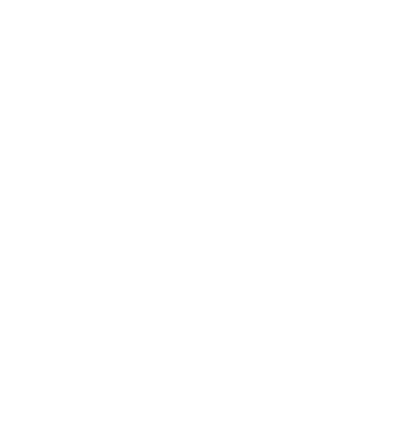 Branding graphic of a branch in white for Peaches and Poppies Floral