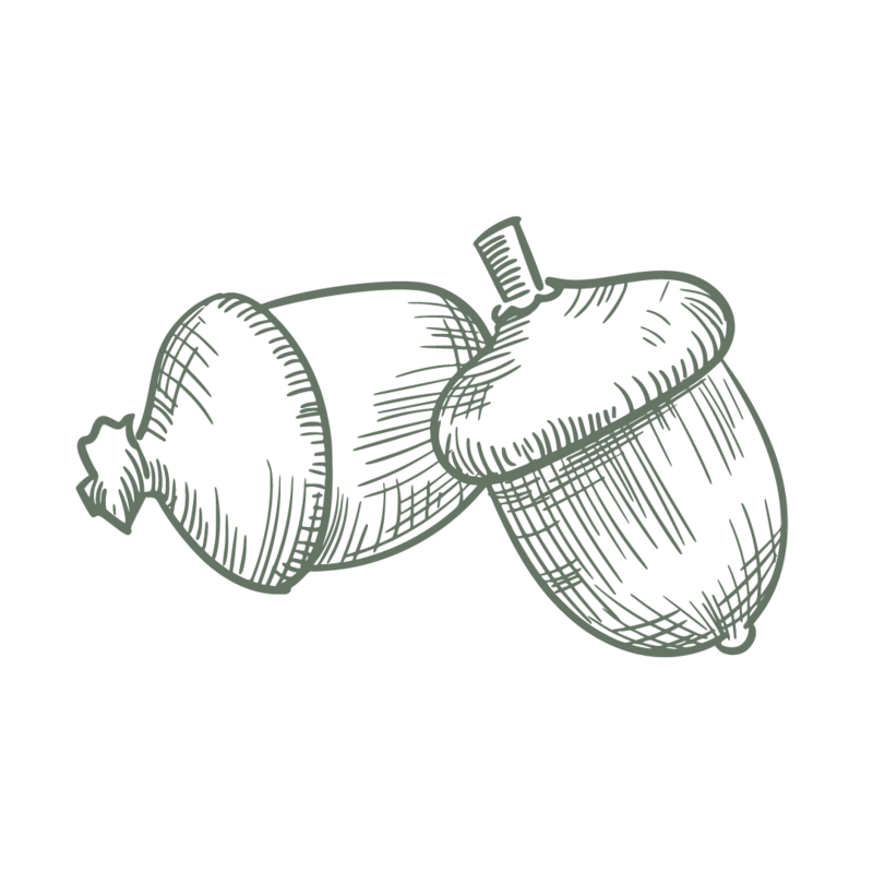 Cara Icons-04