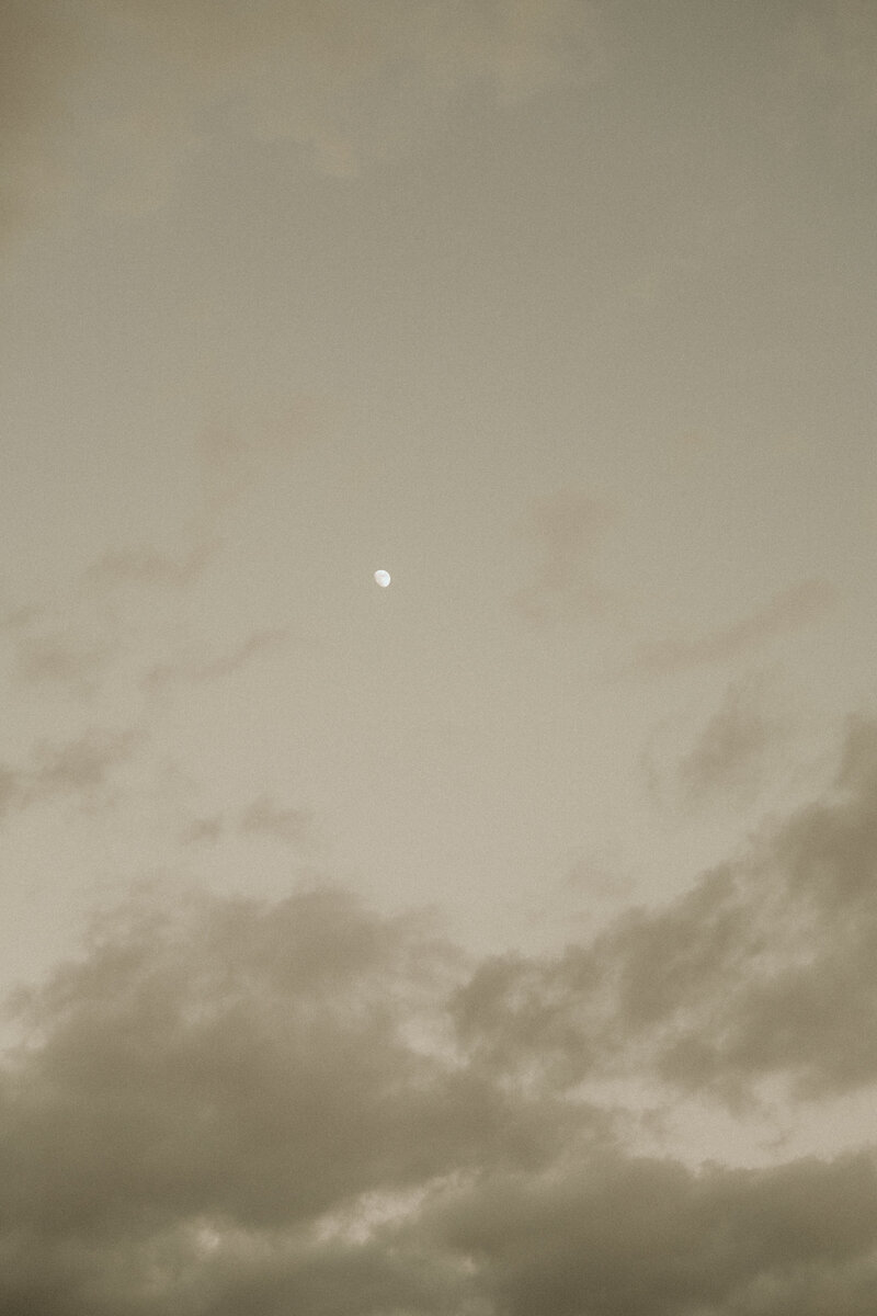 DSC06103