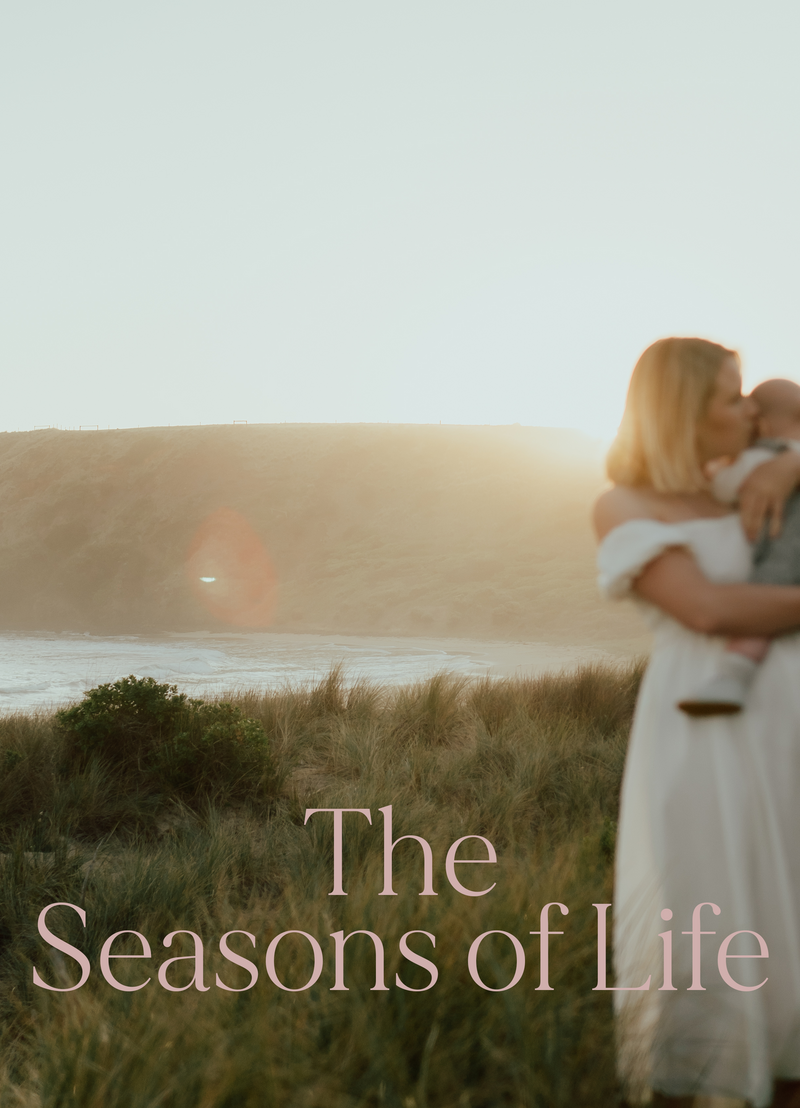 Seasons of Life – A game about the c — Blindflug Studios