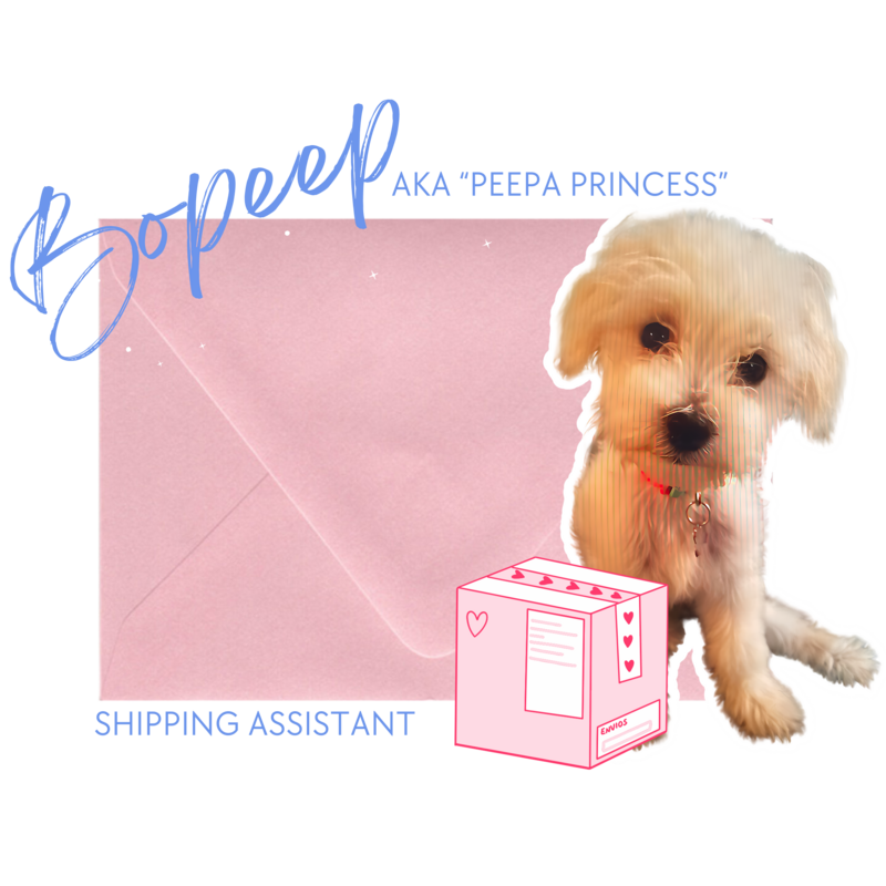 A Morkie behind a pink box in front of a pink envelope.