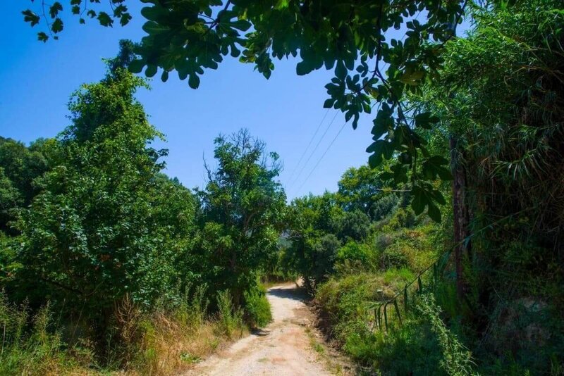 Discovering the natural wonders around the retreat center.