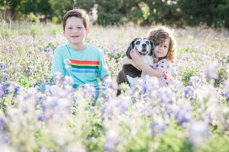 Kids in bluebonnet field with their family dog, Austin Family Photographer