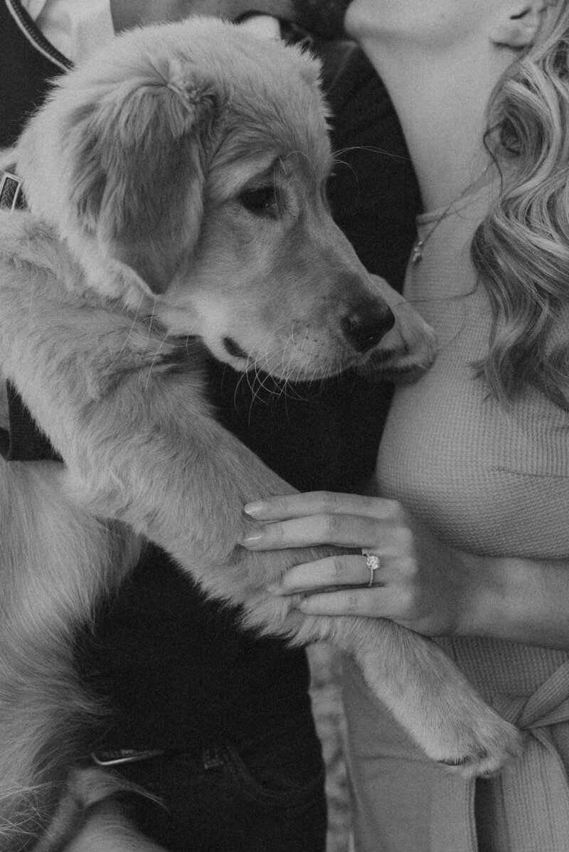 Dog Friendly Elopement